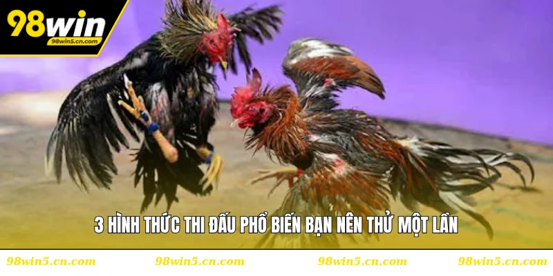 3 hình thức thi đấu phổ biến bạn nên thử một lần