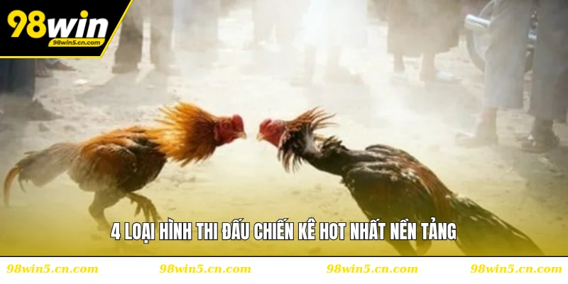 4 loại hình thi đấu chiến kê hot nhất nền tảng