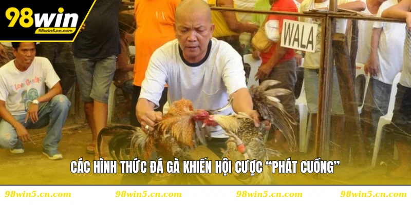 Các hình thức đá gà khiến hội cược “phát cuồng