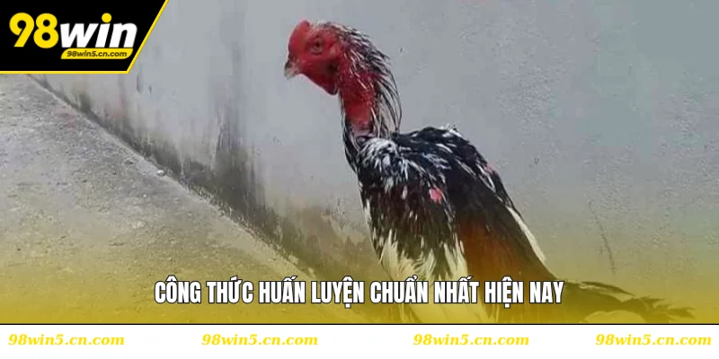Công thức huấn luyện chuẩn nhất hiện nay
