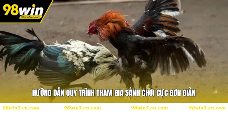 Hướng dẫn quy trình tham gia sảnh chơi cực đơn giản