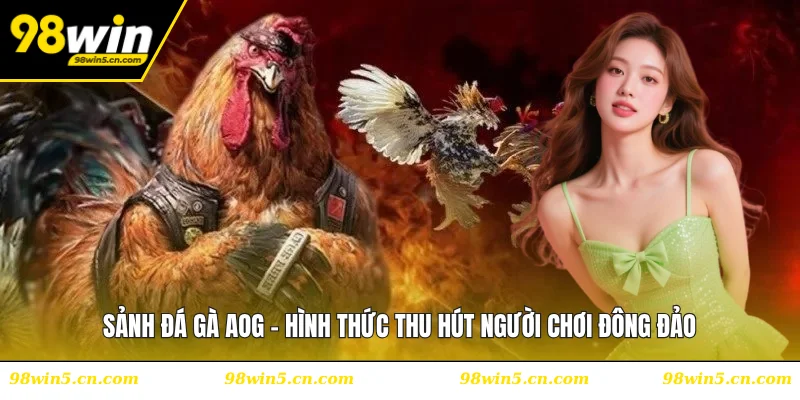 Sảnh Đá Gà AOG - Hình Thức Thu Hút Người Chơi Đông Đảo