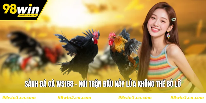 Sảnh Đá Gà WS168 - Nơi Trận Đấu Nảy Lửa Không Thể Bỏ Lỡ